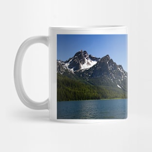 850_1811 Mug